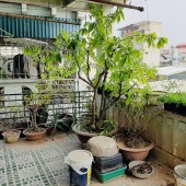 CC cần bán nhà cực hiếm  Phố Tôn Đức Thắng, Đống Đa, 36 m2, MT 3m, nhỉnh 3 tỷ